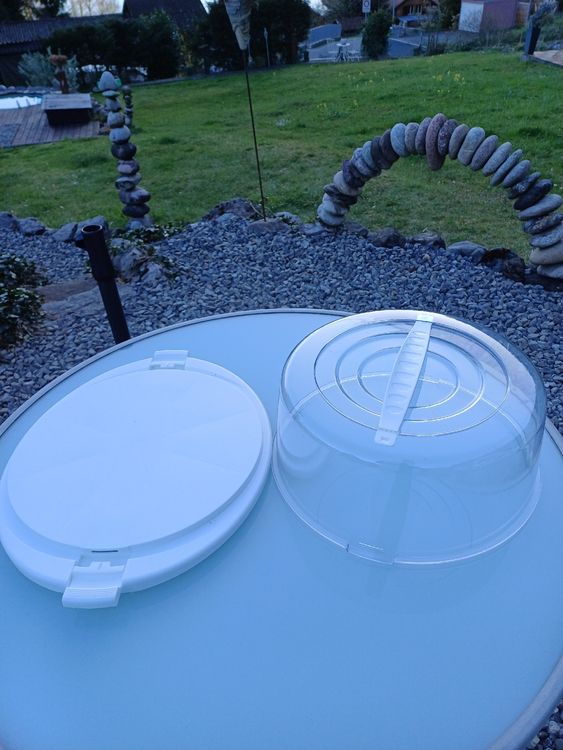 Tortenhaube und Serviertablett 2 in 1 - rechteckig