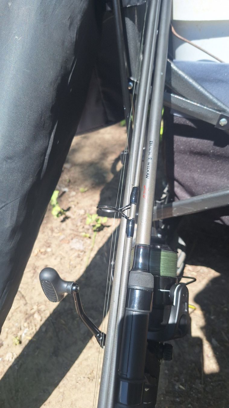 Daiwa Canne da pesca: Daiwa black widow xt 3lb – Usato da Rickenbach SO venduto da hegyc