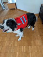 Ruffwear Hundeschwimmweste Grösse M Float Coat Dog Jacket