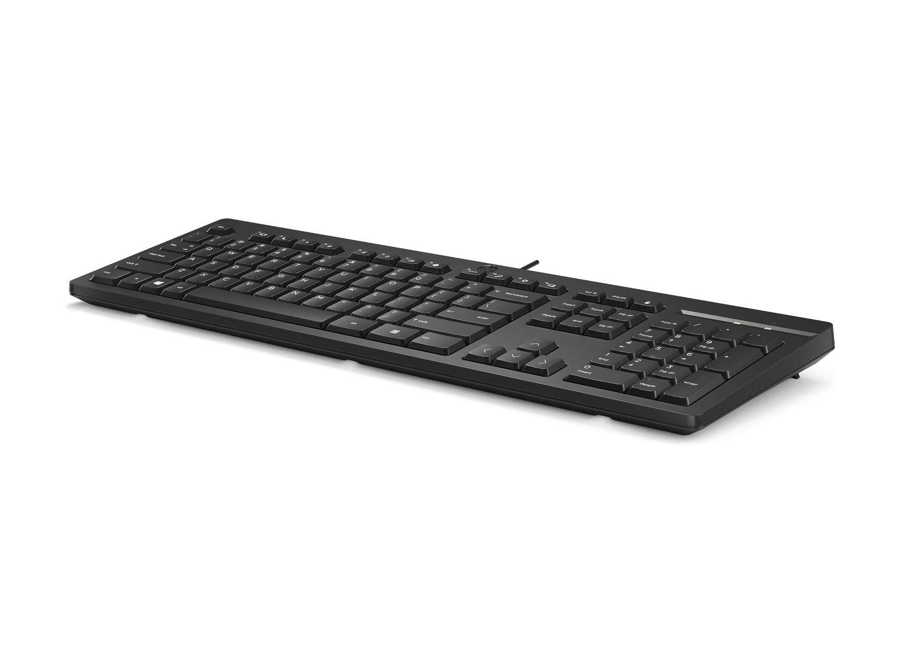 Hewlett Packard Tastaturen: HP 125 Wired Keyboard (Layout DE) – Gebraucht aus Finstersee von pade1911 2