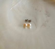Süsswasserperle Ohrstecker 7mm, apricot