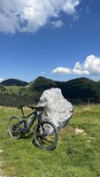 Scott E-Mountainbike Fully Genius eRide 920 Grösse L