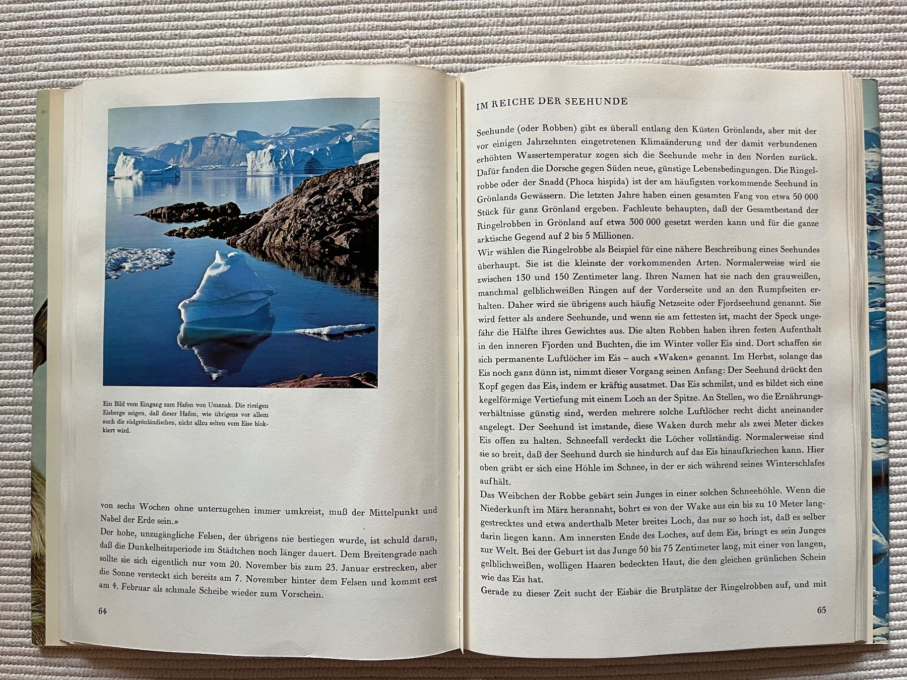 Libri: Grönland Bildband – Usato da Zürich venduto da Gurkis 5