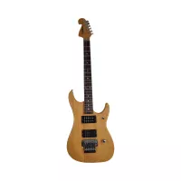 WASHBURN E-Gitarre mit Tasche