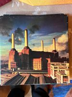 Vinyle