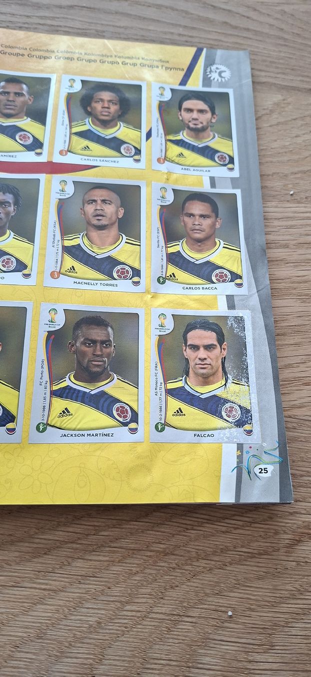 Panini Album: WM 2014 Panini Album vollständig – Usato da Buchs ZH venduto da GRE_11 5