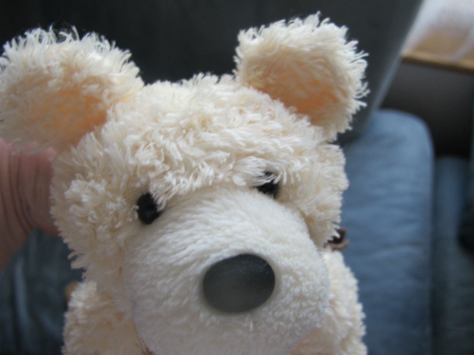Giocattoli: 2 liegende Teddybären – Usato da Löhningen venduto da Chimae67 3