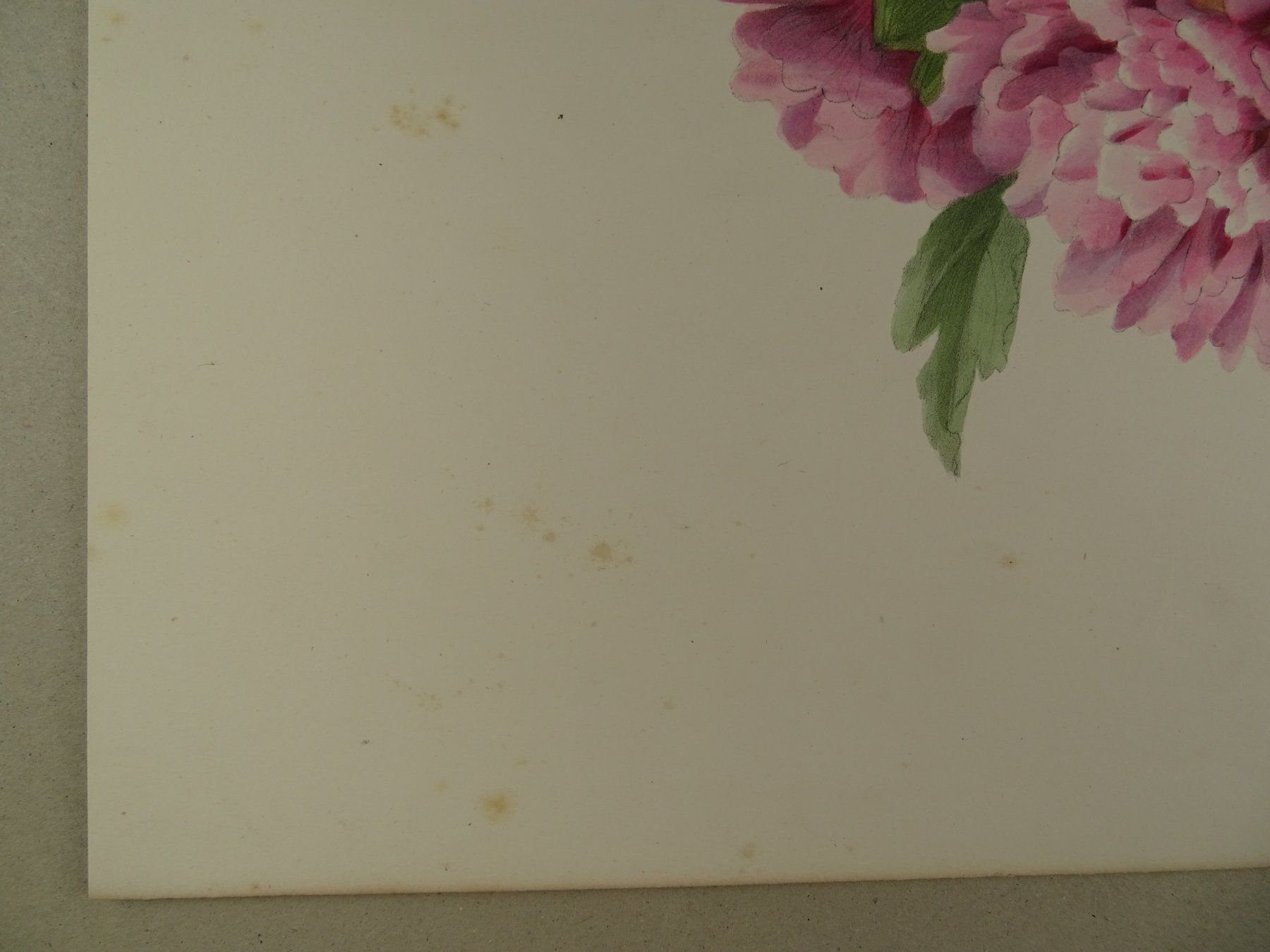 Stiche: ROSE TREMIÈRE, LITHOGRAPHIE UM 1850 – Gebraucht aus Grüningen von Kartensammler 3