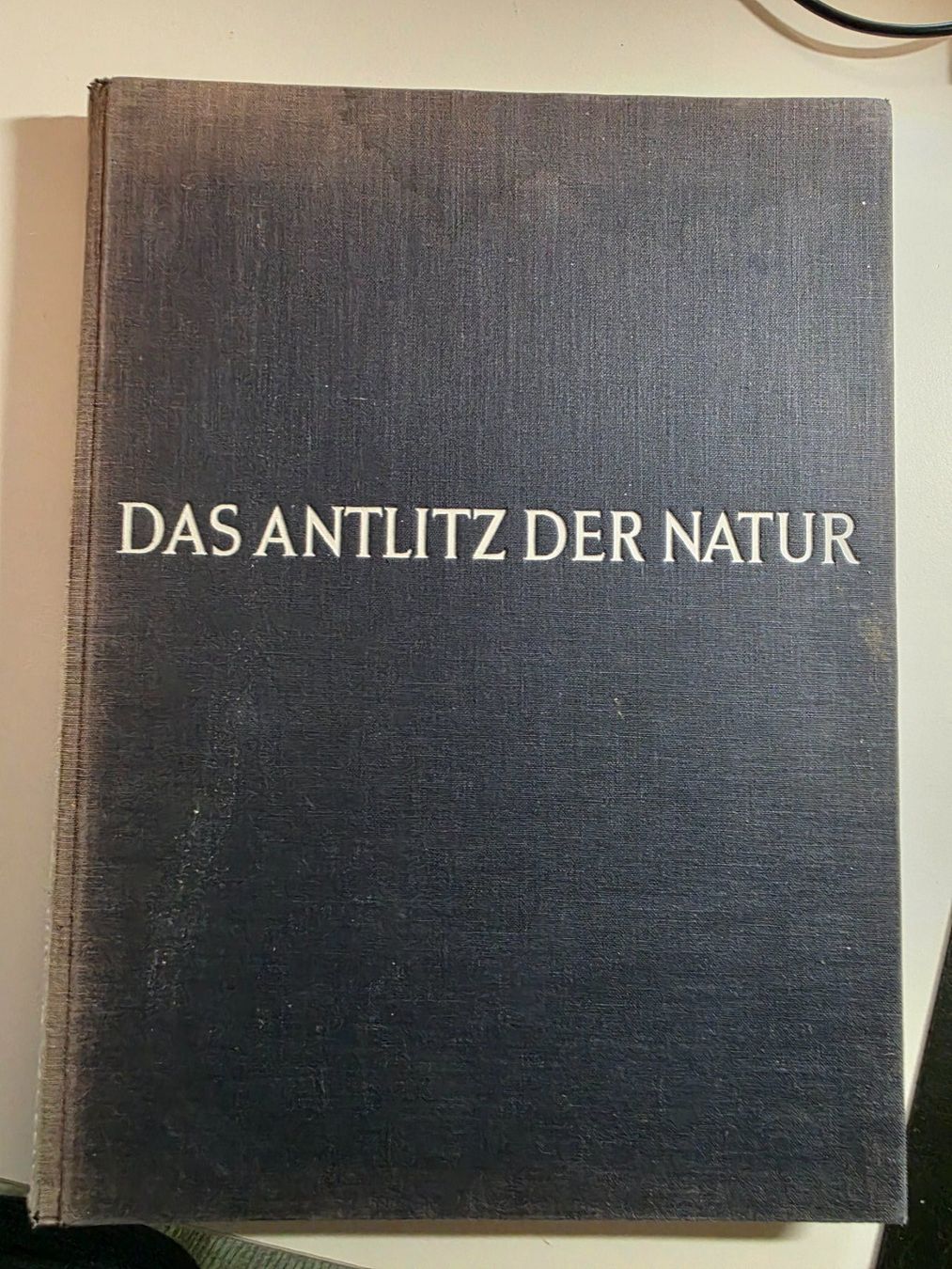 Libri: Das Antlitz der Natur - Andreas Feininger - 1957 – Usato da Walterswil BE venduto da Lonitti