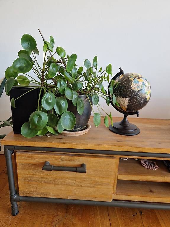 Sonstige Dekorationen & Accessoires: Globus Holz,  guter Zustand – Gebraucht aus Luzern von roe_mk6s 1