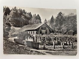 Alte Ansichtskarte Restaurant Wildpark Roggenhausen Aarau