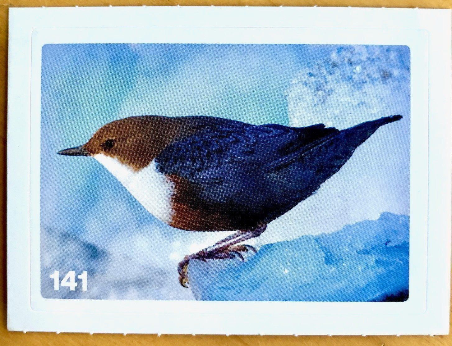 Migros Carte collezionabili: Migros Nature Detectives - Bild Nr. 141 – Nuovo (secondo la descrizione) da Oberrieden venduto da Zimmerberg10