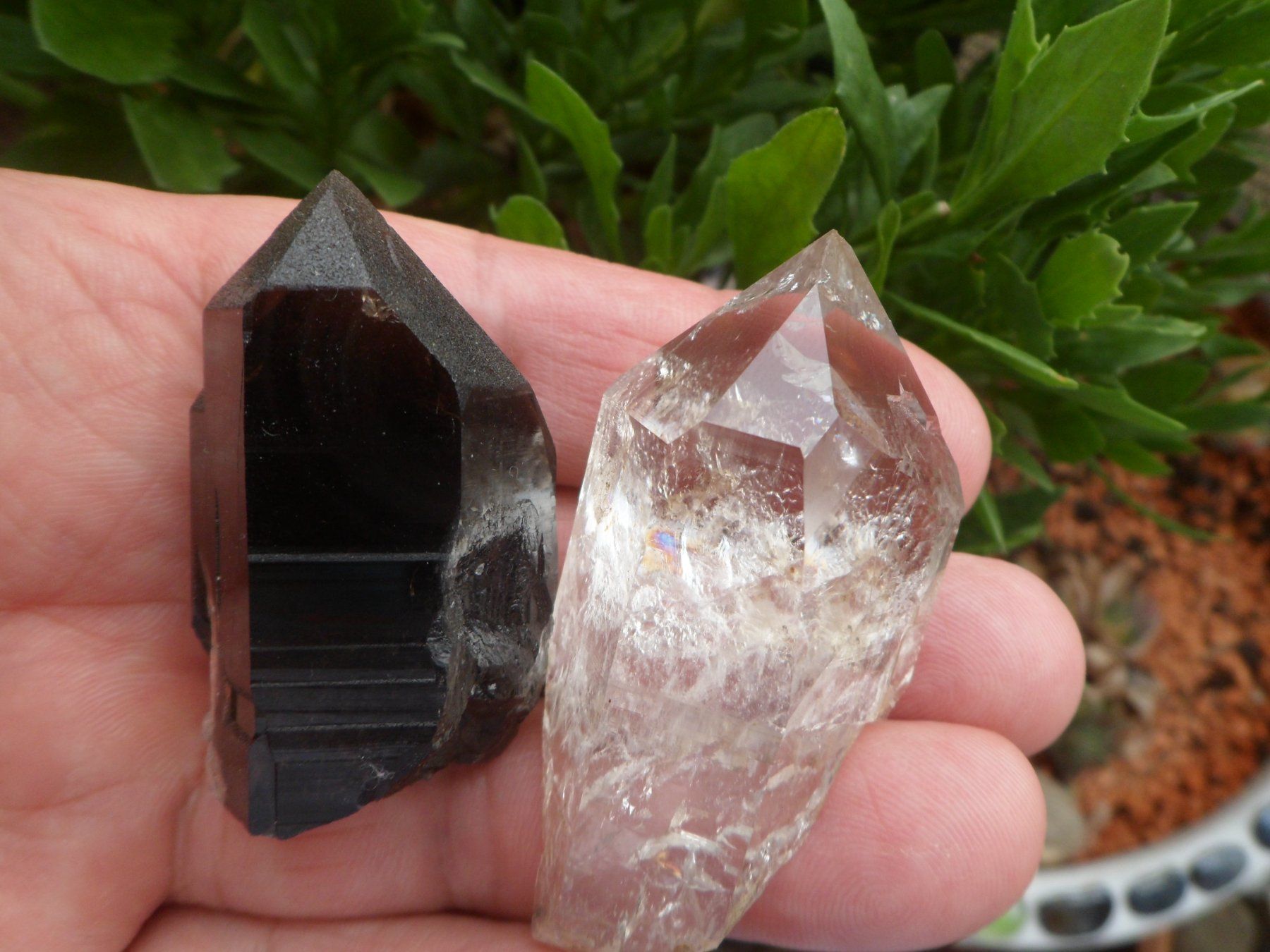Minerali & Pietre curative: Morion + Bergkristall Schweiz – Usato da Affoltern am Albis venduto da Fossil60 2