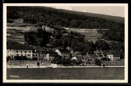 AK Tüscherz, Ort am See und Rebhänge