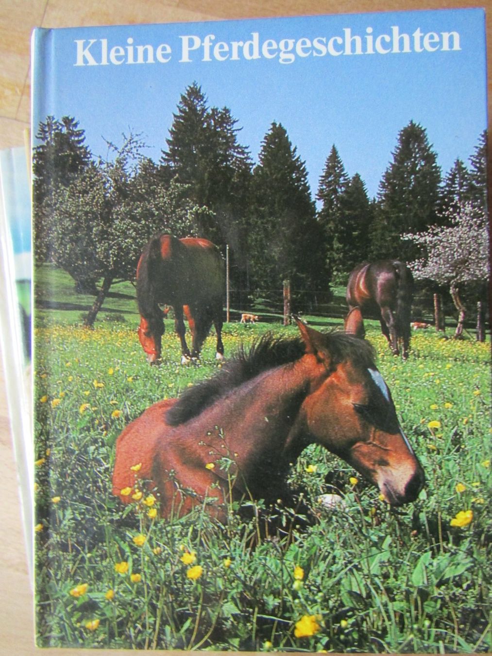 Libri: Kleine Pferdegeschichten Le Roselet – Usato da Sevelen venduto da Cangaroo 1