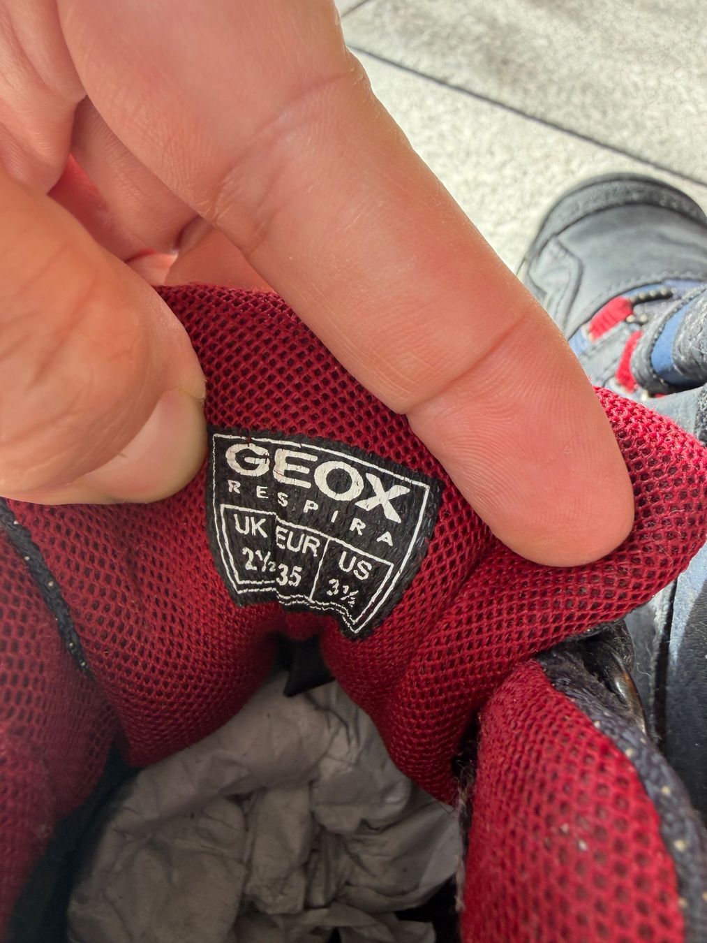 Geox Scarpe per ragazzi: Geox TERAM Boy Winterschuhe Gr. 35 – Usato da Brütten venduto da Rod816 3