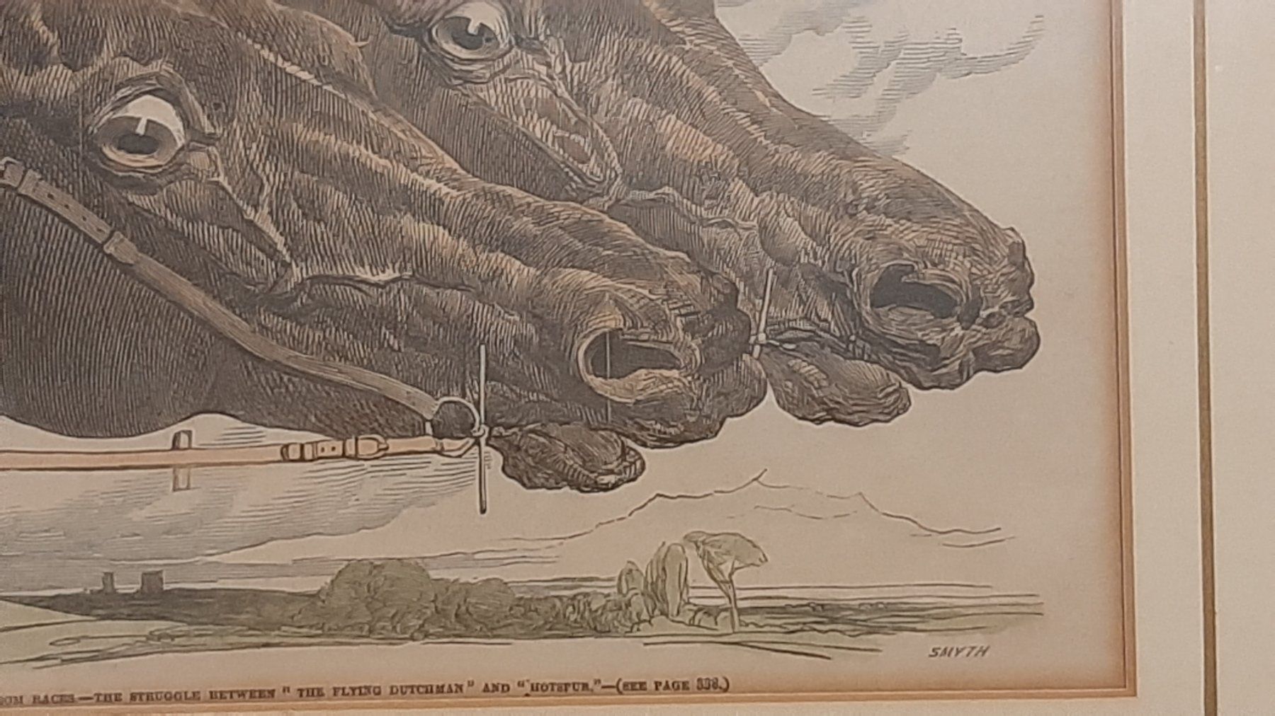 Grafica & Litografie: Litografia - Teste di cavallo – Nuovo (secondo la descrizione) da Porza venduto da ulletta1 2