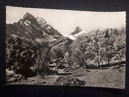 BRAUNWALD