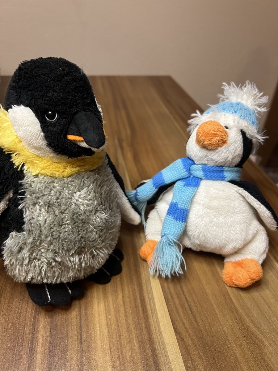 Giocattoli: LOTTO PELUCHE PINGUIN (d1) – Usato da chiasso venduto da Wulli 2