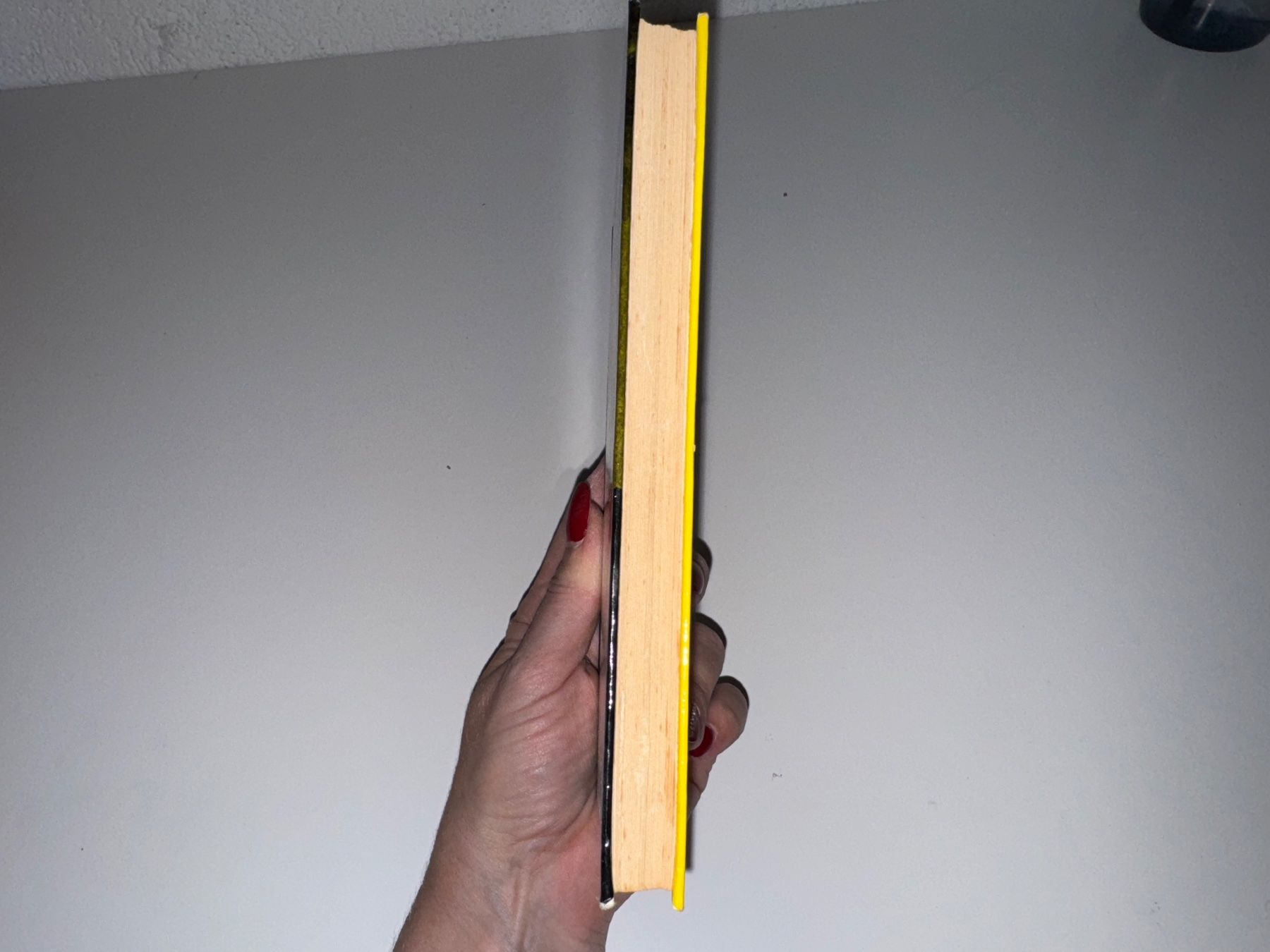 Libri: BUCH: Jan siegt zweimal – Usato da Grosswangen venduto da Kleine.Knoepfe 7