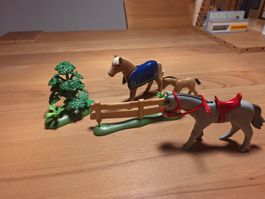 Playmobil Pferdewiese