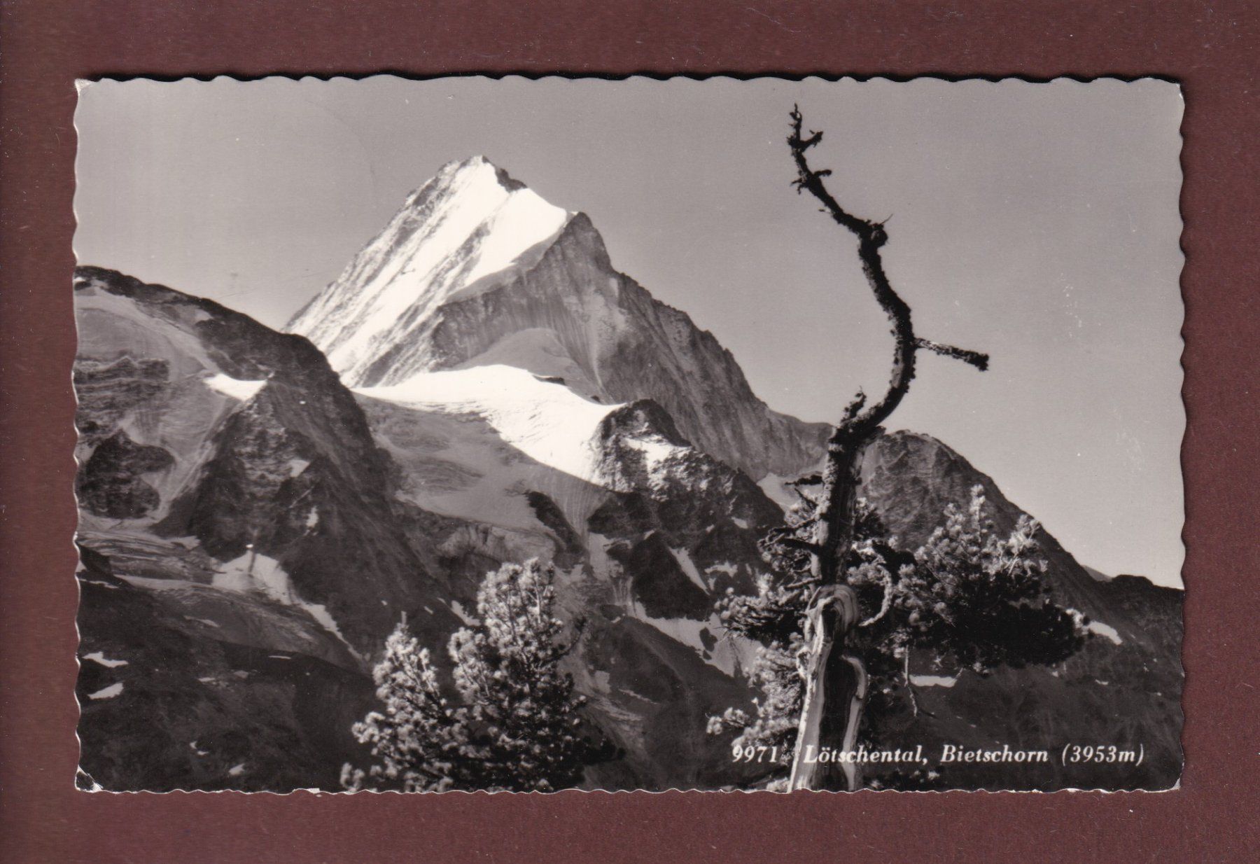 Cartoline postali: Lötschental - BIETSCHHORN - 1963 – Usato da Pully venduto da nicecards
