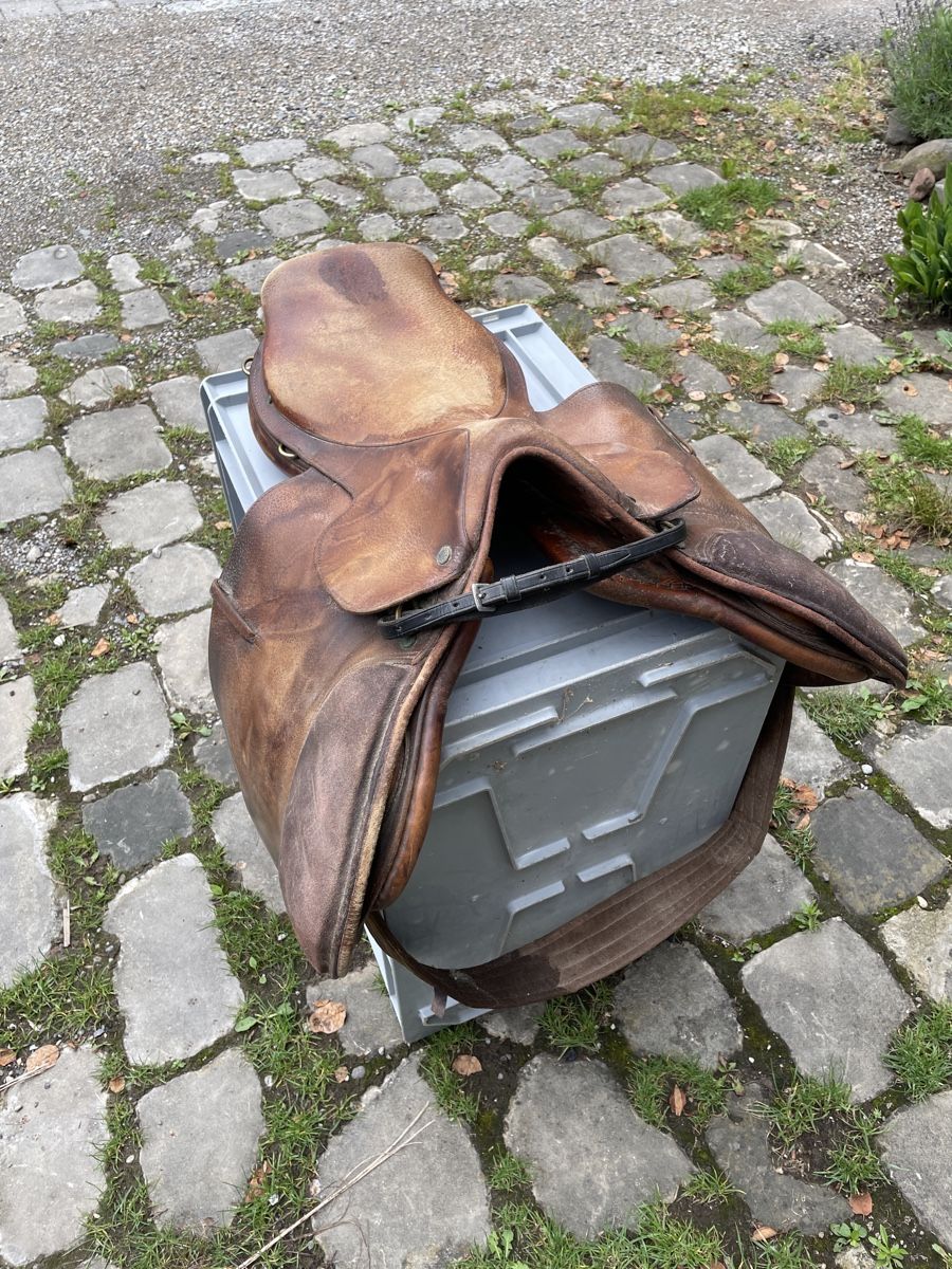 Selle & Accessori: Sattel Crosby gebraucht – Usato da Hauptwil venduto da c-pro 2