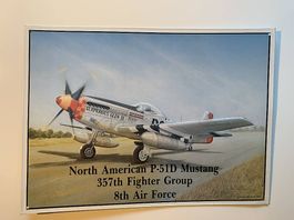 Blechbild / Bild Mustang P-51D