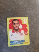 Panini WM 2026 TUN 15