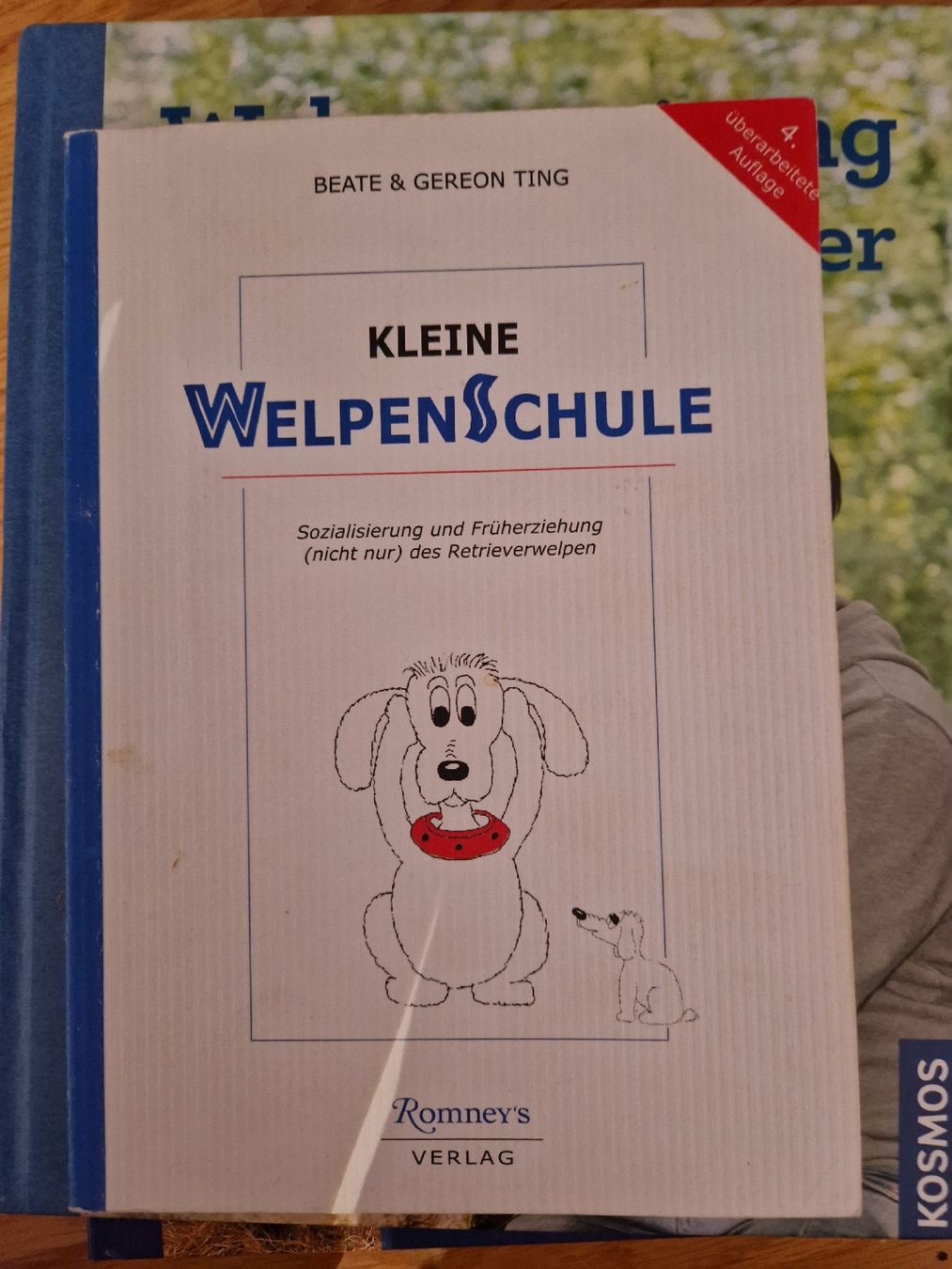 Libri: Kleine Welpenschule – Usato da Zumikon venduto da hardm1