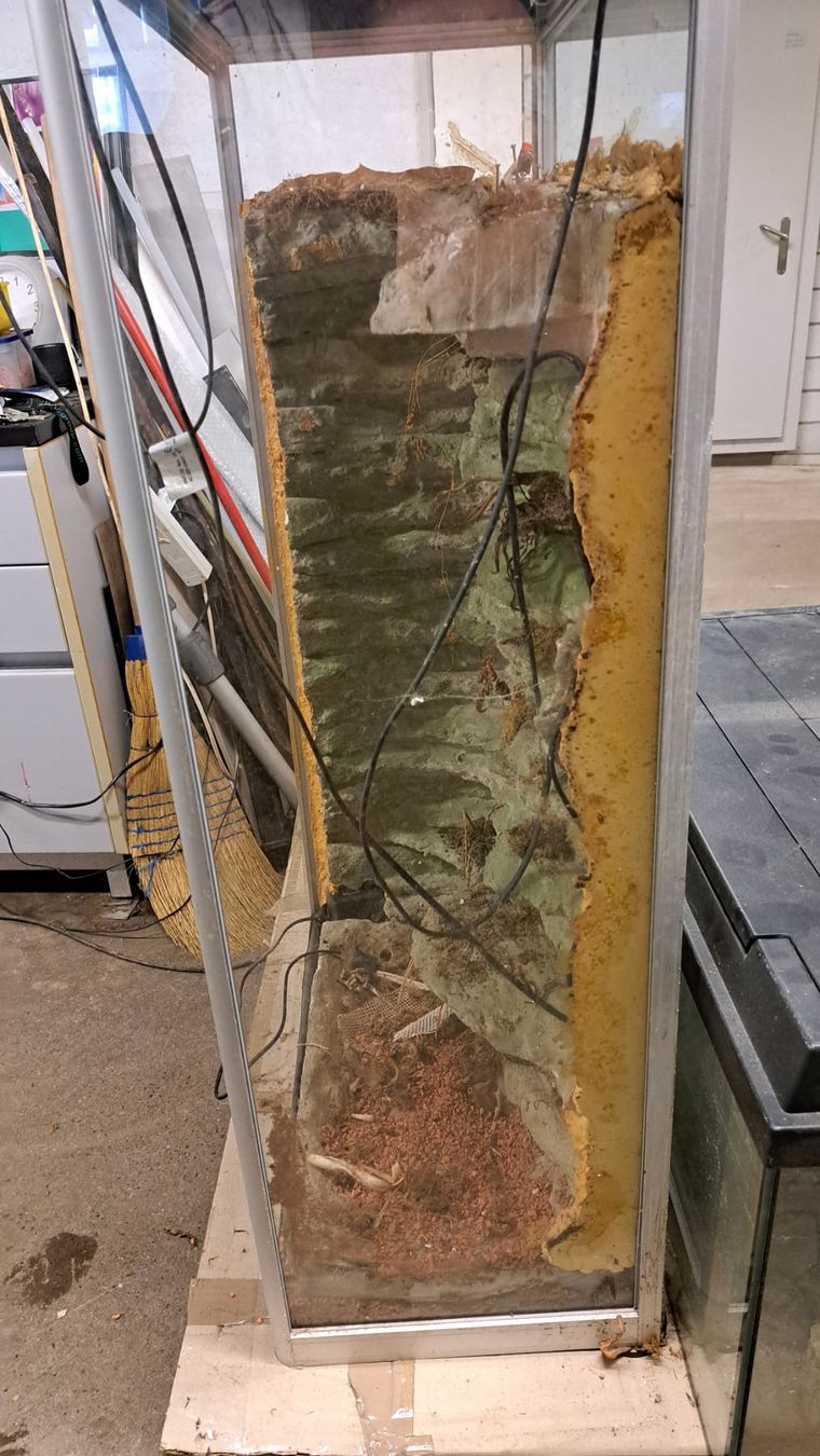 Terrarium: Terrarium – Gebraucht aus Oberentfelden von Myri13 1