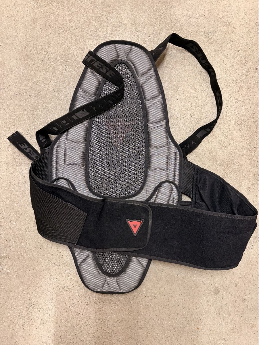 Dainese Schutz & Schoner: Dainese Rückenprotektor – Gebraucht aus Dübendorf von vici04 1