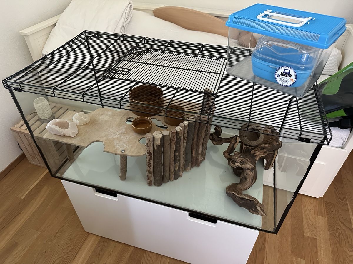 Gabbie, trasporto & Sicurezza: Terrarium / Mauskäfig / Mäusekäfig / Nager – Usato da Zürich venduto da Luoco