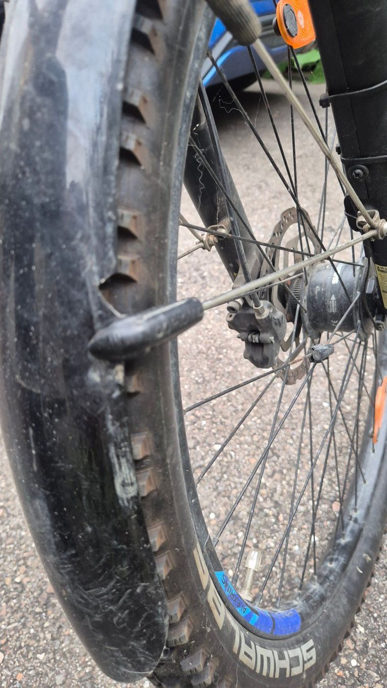 Wheeler Biciclette: Kinder- / Jugendfahrrad Wheeler – Usato da Hohenrain venduto da Simi1319 4