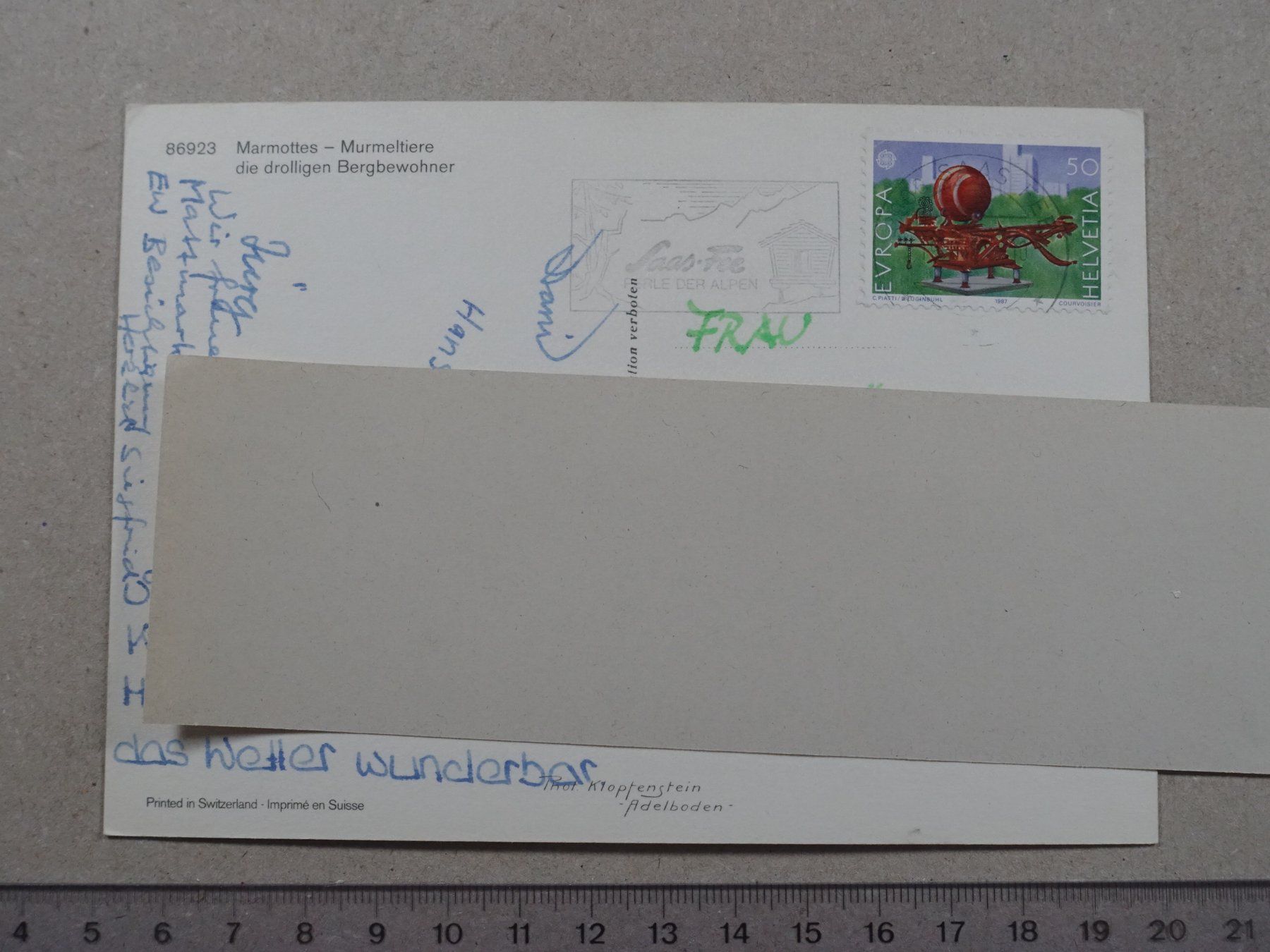 Cartes postales: Murmeltiere – D'occasion à Lenzburg par fh1 1