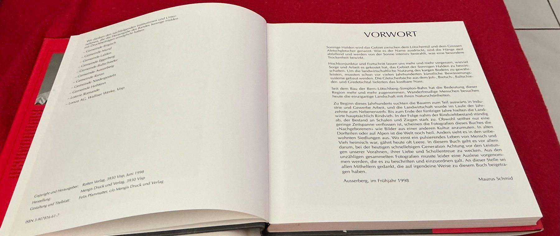 Libri: Erinnern Sie Sich Sonnige Halden -Maurus Schmid – Usato da Crans-Montana venduto da plainemorte 2