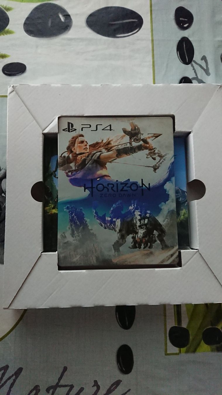 Sony Jeux: Horizon Zero Dawn Collector Ps4 – Neuf avec emballage d'origine à Cugy VD par Twinsen93 4