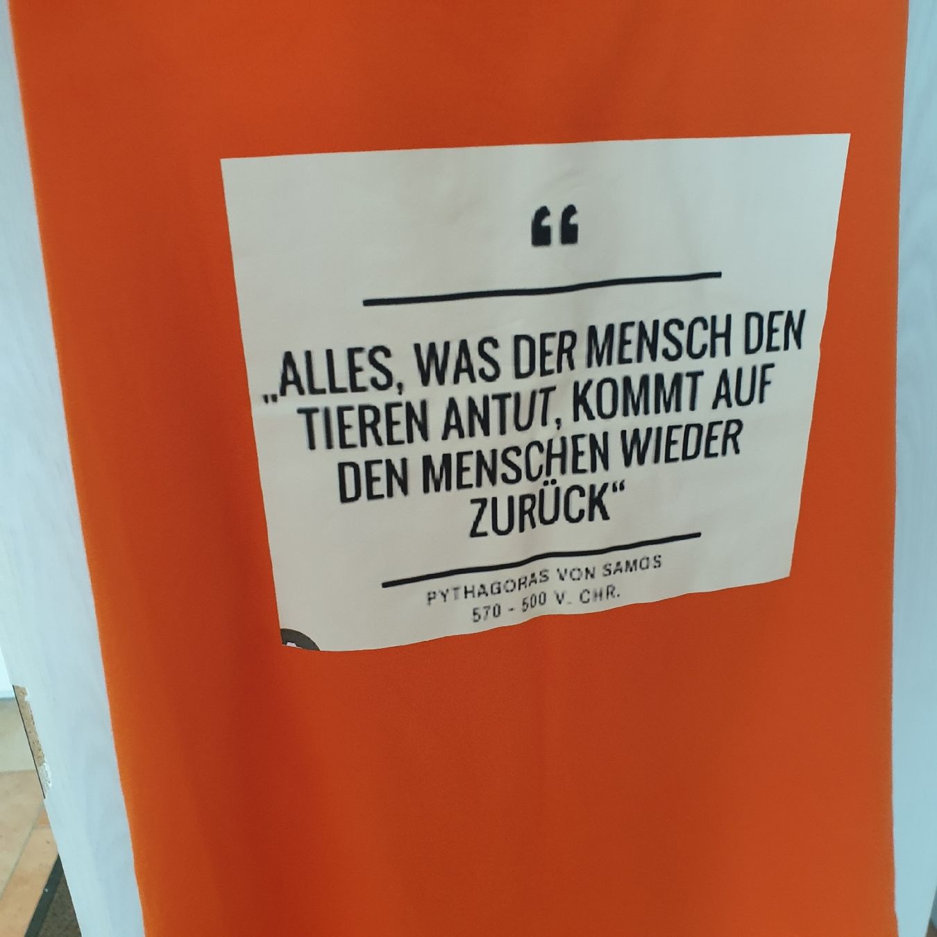 T-shirt: Damen T-Shirt mit Bewusstsein – Nuovo (secondo la descrizione) da Zihlschlacht venduto da Sun25 1