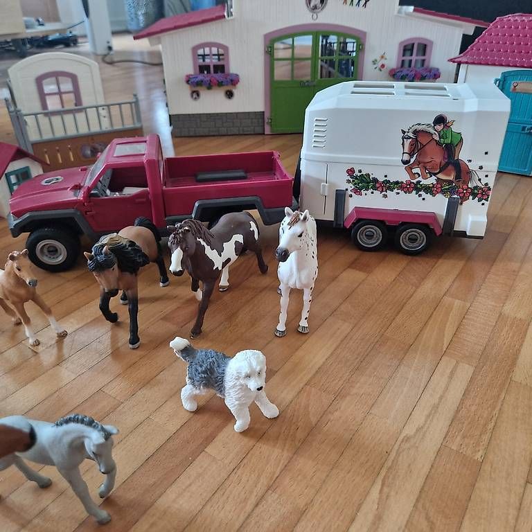 Giocattoli: Schleich super Komplettpreis – Usato da Rümlang venduto da kar_6nzq 1