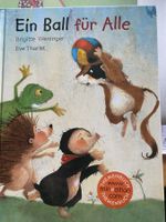 Ein Ball für Alle