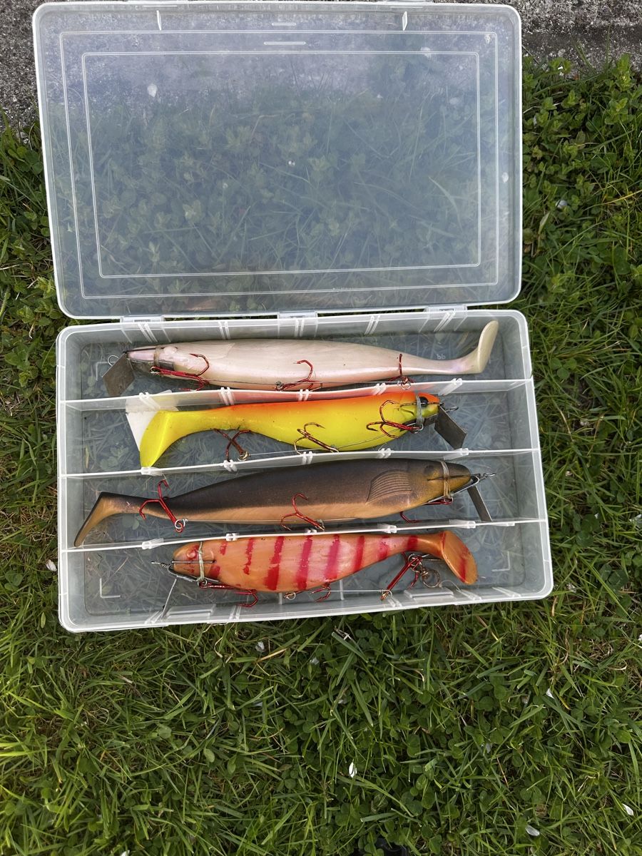 Esche: 5 Swimbait Gummifische – Usato da Steckborn venduto da bra_f7jy