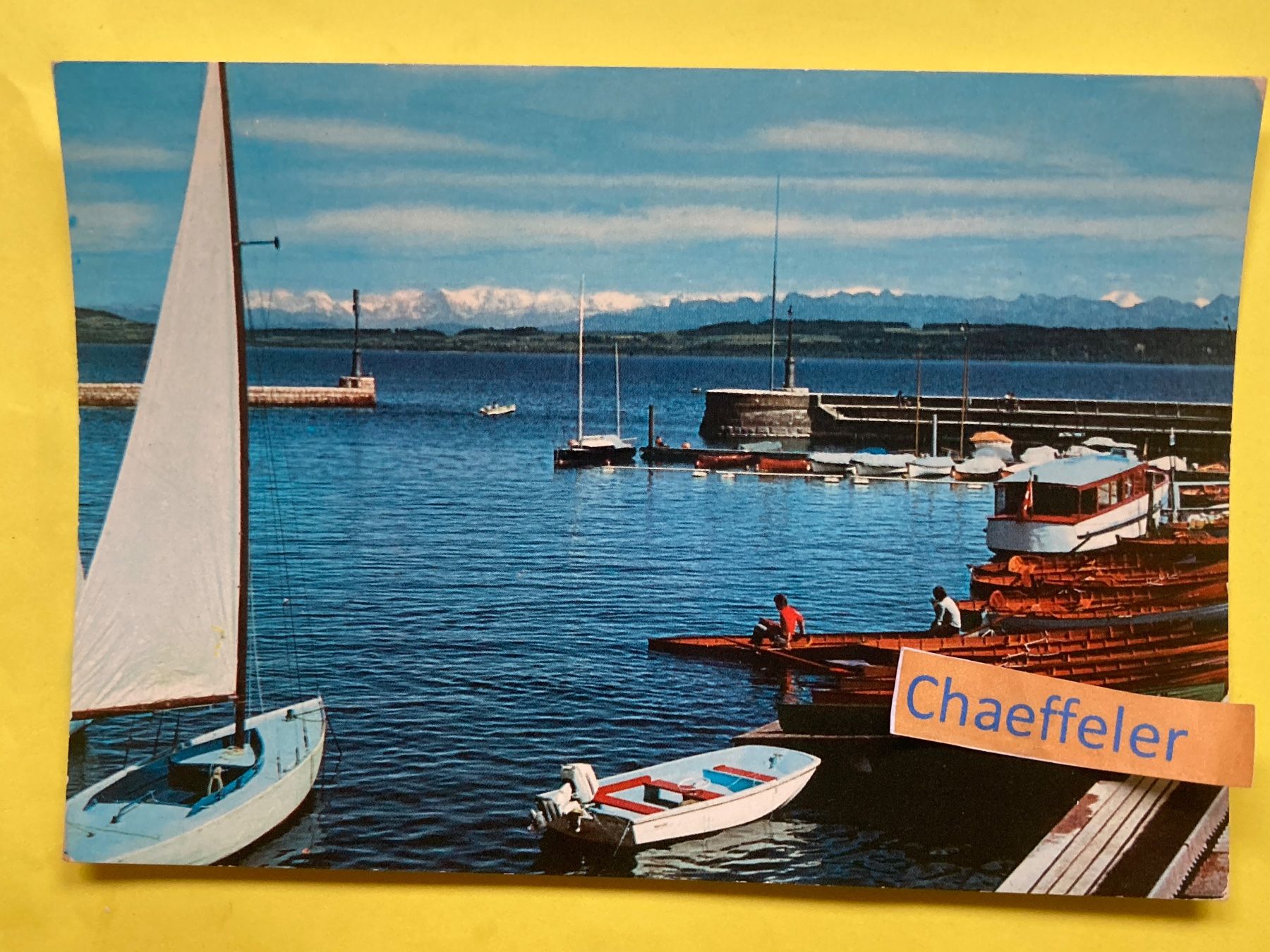 Cartoline postali: Neuchâtel, Le Port et les Alpes – Usato da Zürich venduto da Chaeffeler