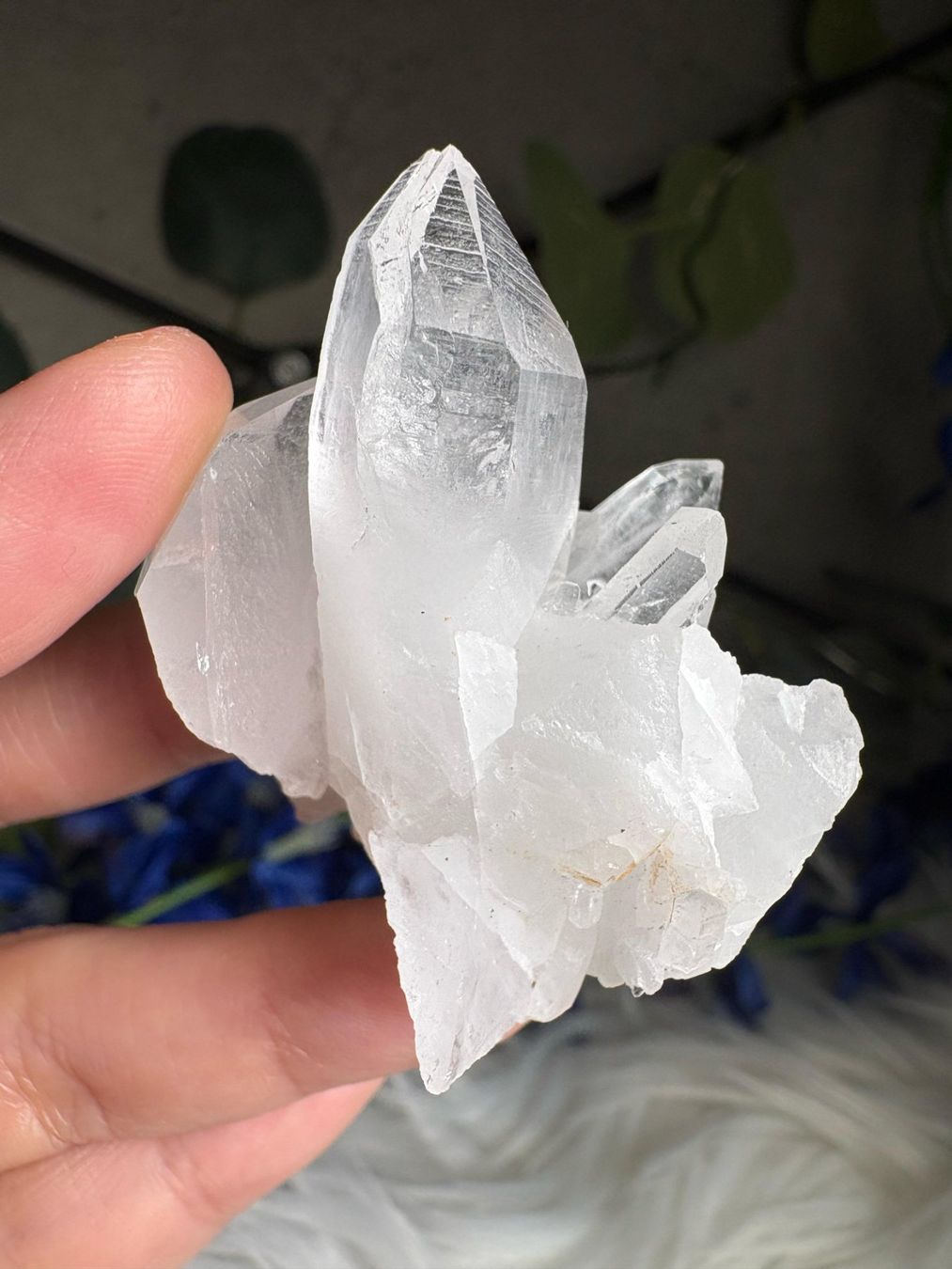 Mineralien & Heilsteine: Kolumbianischer Lemurian-Quarz-Cluster – Neu (gemäss Beschreibung) aus Neuheim von m.hald 4