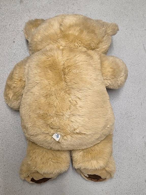 Giocattoli: Teddy Plüschtier – Usato da Urtenen-Schönbühl venduto da sandrabern01 1