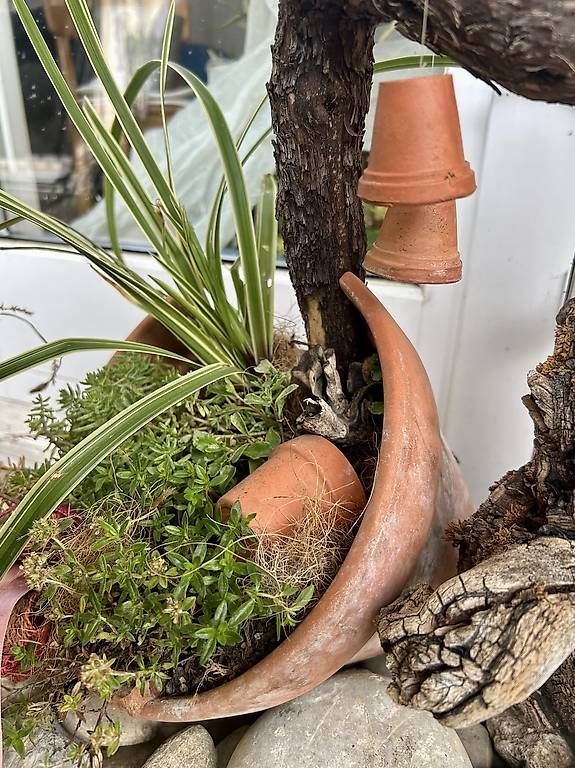 Vasi per fiori: Liegender Blumentopf  – Usato da Frauenfeld venduto da Irene.Schuppli 4