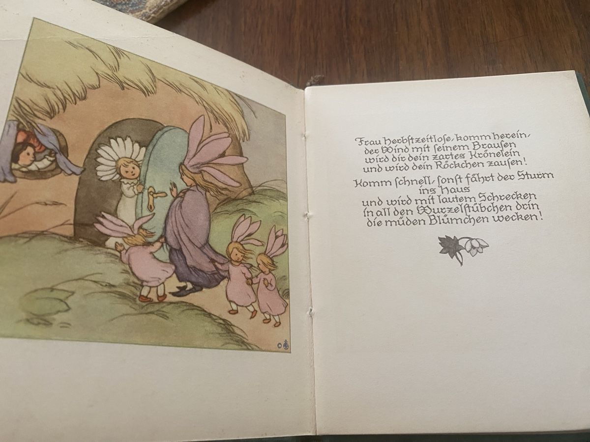 Bücher: Seltenes Buch  "In den Wurzelstubchen" von 1932 – Gebraucht aus Baden von swiss-alps 2