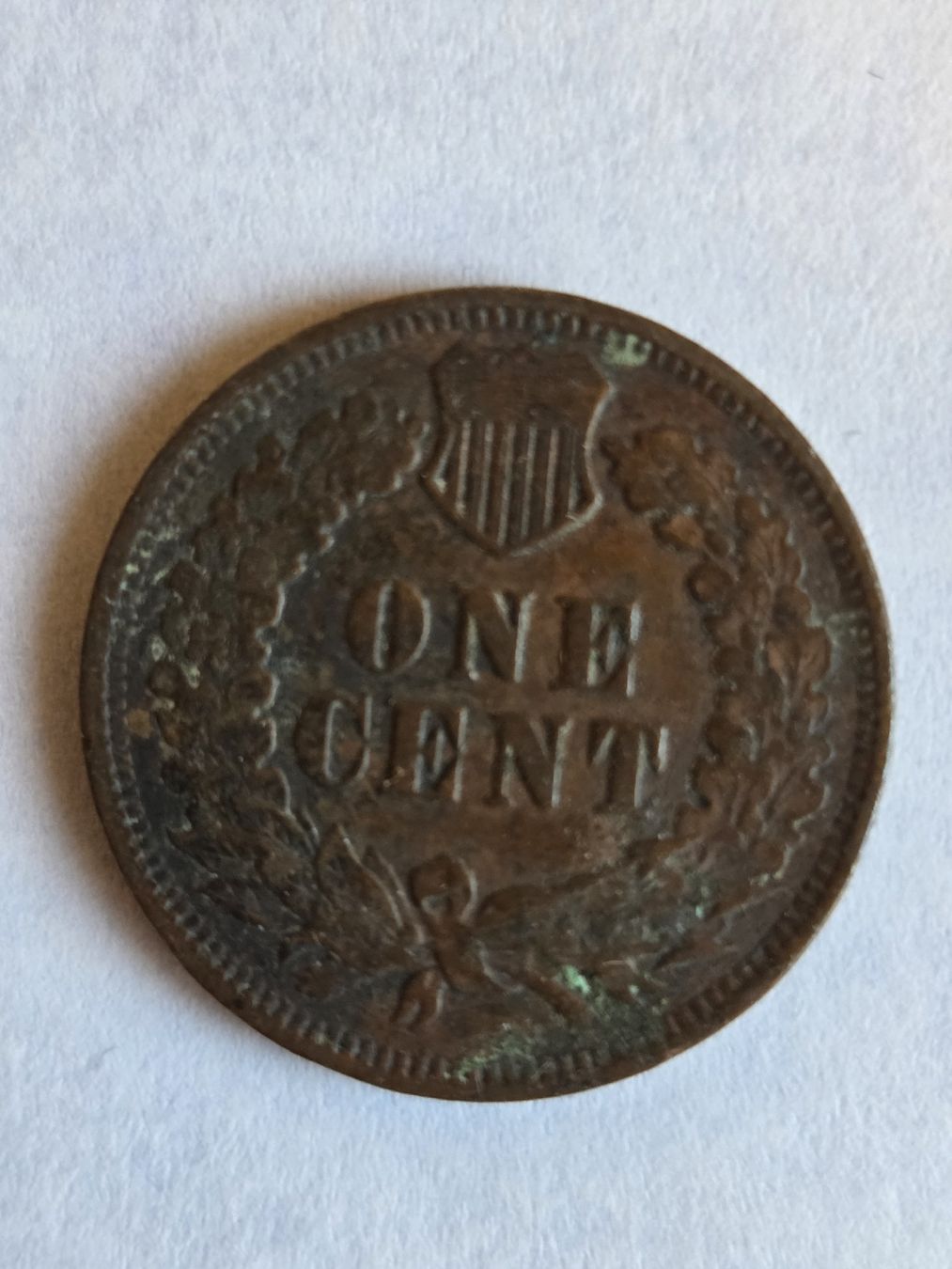 Tutti le monete: USA Indian Head Cent 1898 Ein-Cent-Münze.. – Usato da Stans venduto da Ducati16 2