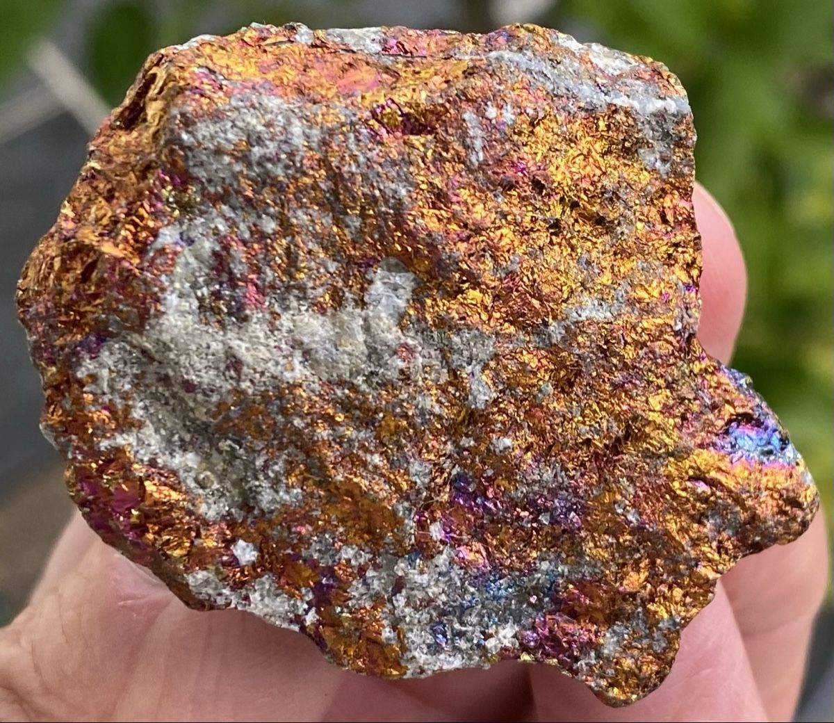 Minerali & Pietre curative: Schöner Bornit Buntkupferkies  – Usato da Selzach venduto da 321compac 9