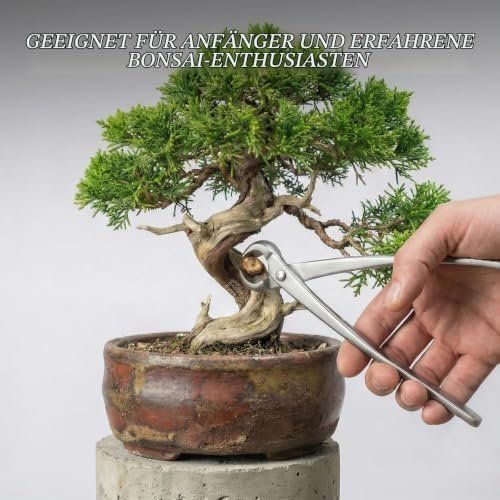 Alle Werkzeuge: Bonsai Scheren Blattknospenschere, Knopfschere und – Neu und originalverpackt aus Hundwil von tec_mm27 2
