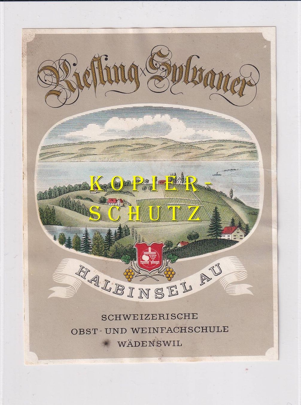Carta: Etikette - Riesling x Sylvaner "Halbinsel Au" /bd – Usato da Hombrechtikon venduto da Rudolf07